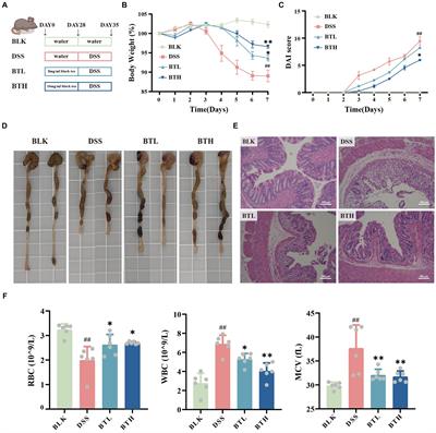 Black tea preserves intestinal homeostasis through balancing barriers and microbiota in mice